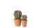 CACT BALL+POT SYNTH GRN/TERR L