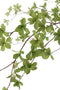 J-Line Ying kom - hout - wit