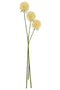 J-Line bloem Allium 3 Stuks - kunststof - lichtgeel - large - 12 stuks