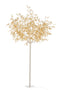 TREE LEAV GLI+LED MET GD XL