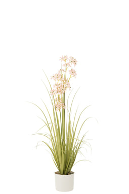 J-Line plant Allium In Pot - kunststof - groen/lichtroze - medium