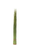J-Line grassen Bundel - kunsttof - groen - medium