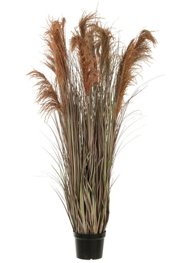 J-Line Pampas Gras 13 Koppen In Pot Pvc Groen/Oranje Large