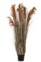 J-Line Pampas Gras 13 Koppen In Pot Pvc Groen/Oranje Large