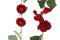 J-Line decoratie Slak - cement - grijs - 2 stuks
