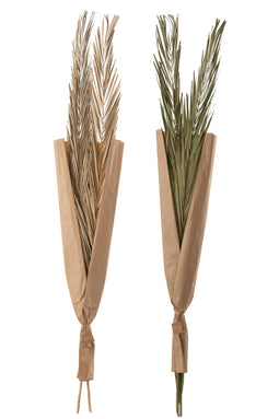 LEAVES KHAJUR 2P GRN ASS2