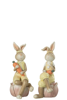 RABBIT SIT FLOW POL MIX ASS2