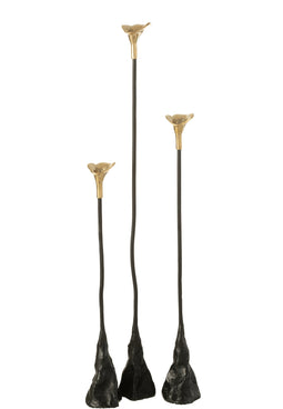 S/3 CHAND TRI FER/LAI NOI/OR