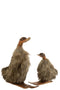 DUCK SKIER FUR WOOD BROWN L