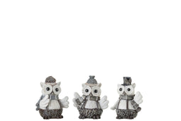 OWL POLY WH/BR S ASS3