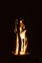 TABLE LAMP INTERTW BRAN WD NAT