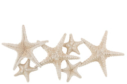 WALL DECO STAR FISH POLY BEIGE