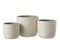 J-Line decoratie Kat - hout - wit - small