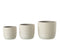J-Line decoratie Kat - hout - wit - small