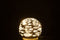 BALL DECO FISH LED GLASS WHI M