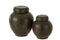 VASE SHELL GLASS L BLU S