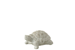 TURTLE CEM GRY S