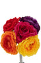 RANUNCULUS BUNDLE ARTI MIX