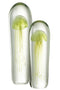 PAPERWEIGHT JELLYF GL GRN XL