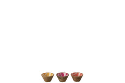 BOWL MANGO WOOD MIX XS ASS3
