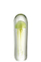 PAPERWEIGHT JELLYFISH GL GRN L