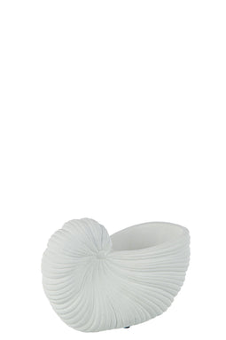 FLOWERPOT SHELL CEMENT WH S