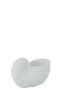 FLOWERPOT SHELL CEMENT WH S