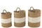 PALMTREE SEAGRASS NAT S