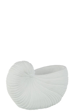 FLOWERPOT SHELL CEMENT WH L
