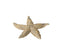 STARFISH POLYRESIN BR/GO S