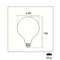 Century LED Filament Lamp E27 8 W 1055 lm 3000 K