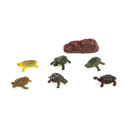dieren Schildpad Set 20 x 19 cm