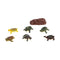 dieren Schildpad Set 20 x 19 cm