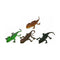 dieren Reptielen Set 25 x 18 cm