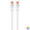 Stevige UTP-netwerkkabel categorie 6 Ewent EW-6U-005 (0,5 m) Grijs