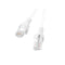 Stevige UTP-netwerkkabel categorie 6 Lanberg 3 m Wit