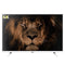 Smart TV NEVIR NVR-8072-434K2S-SMAB 4K Ultra HD 43