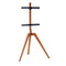 TV houder TM Electron 45