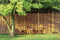 Boomschorsmat - afm. 175 x 300 cm