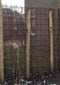 Heidemat op rol - afm. 200 x 300 cm - ca. 3 cm dik