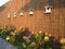 Heidemat op rol - afm. 100 x 300 cm - ca. 3 cm dik