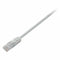 Stevige UTP-netwerkkabel categorie 6 V7 V7CAT6UTP-02M-WHT-1E (2 m) Wit