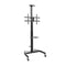 Trolley Aisens FT70TE-169 50 kg