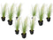 Stipa tenuifolia 'Pony Tails' - Set van 9 - Siergras - Pot 9cm - Hoogte 20-30cm