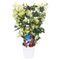 Bougainvillea op rek 'Dania' - Witte bloemen - ⌀17cm - Hoogte 50-60cm