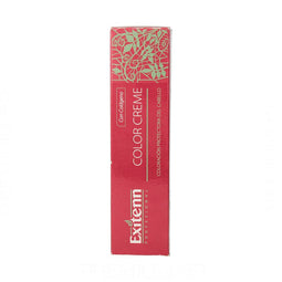 Permanente Kleur Exitenn Color Creme Groen (60 ml)