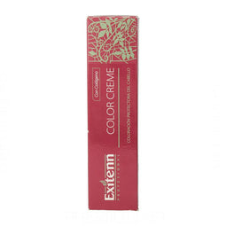 Permanente Kleur Exitenn Color Creme Nº 12/0.22 (60 ml)