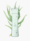True-Keratin Bio Care Nourishing Conditioner 250ml