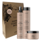 Lakme Teknia Full Defense Retail Pack: Shampoo 300 ml, Treatment 250 ml, Mist 300 ml