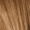 Schwarzkopf Professional Essensity Ammonia-Free Permanent Color Hair Dye 6-55 60ml